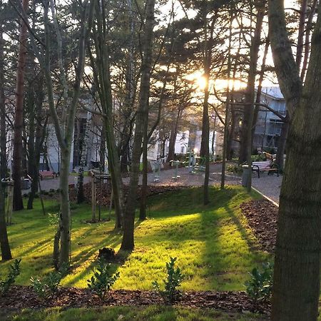 شقة غدينيا  في Apartament 15 المظهر الخارجي الصورة